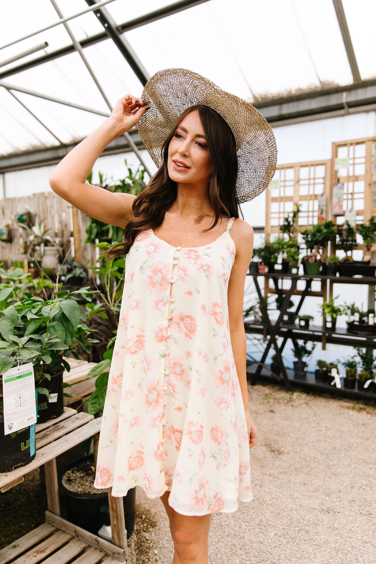 Daisy Dreams Dress