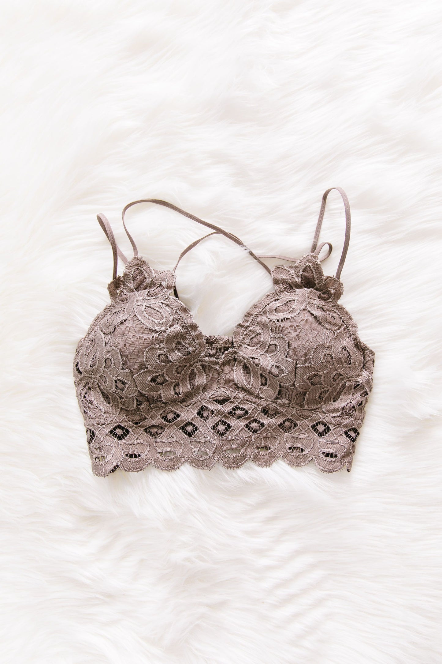XOXO Scalloped Lace Bralette In Cocoa