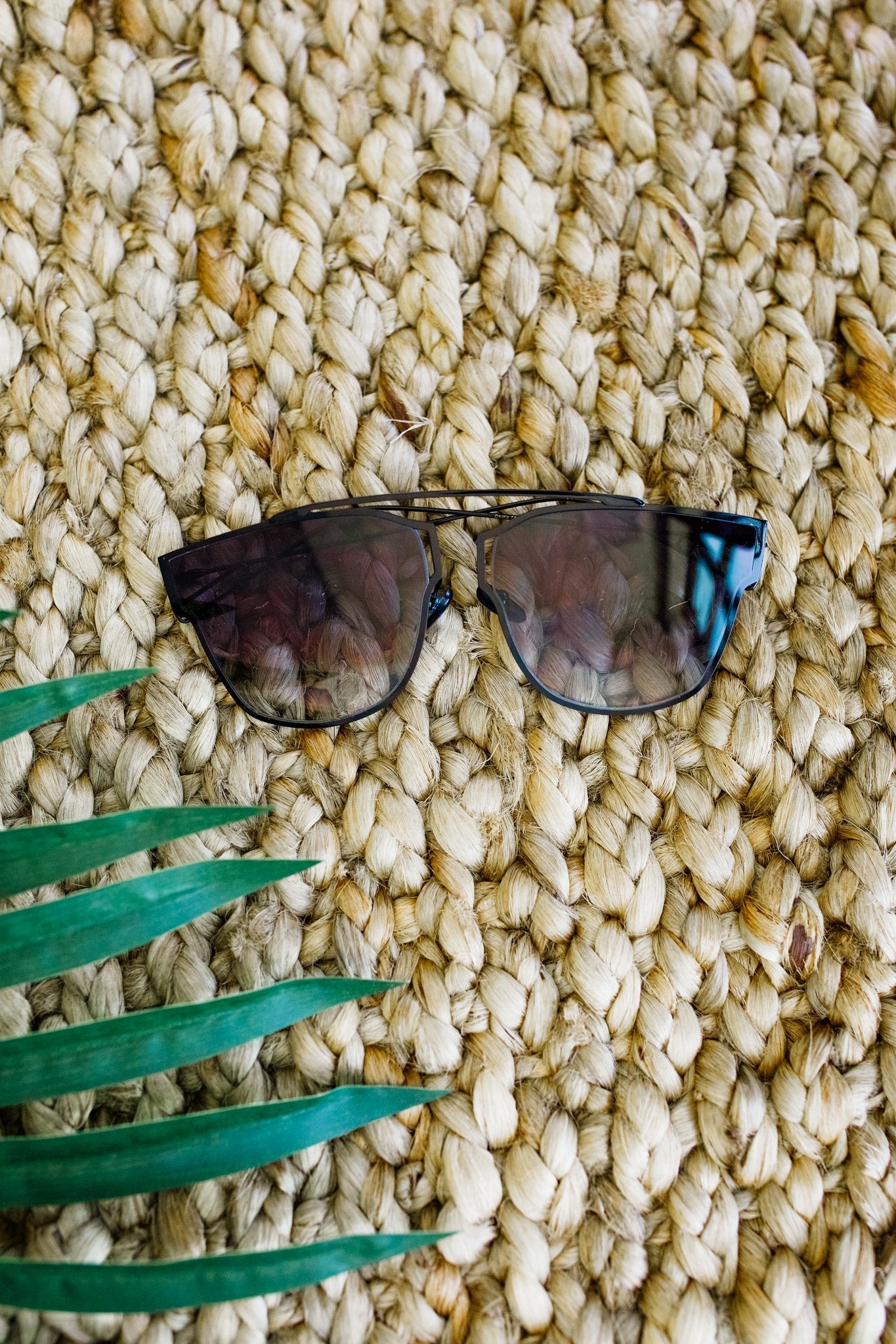 All That Flat Sunnies