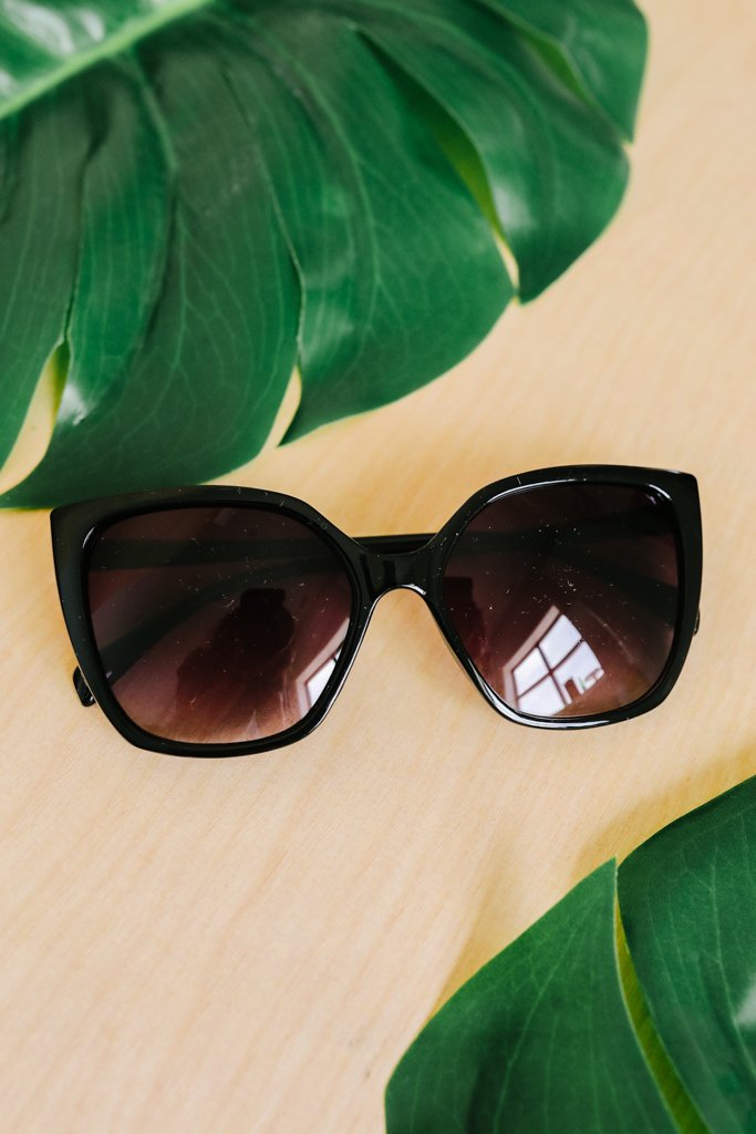 Curiosity Killed The Cat Sunnies