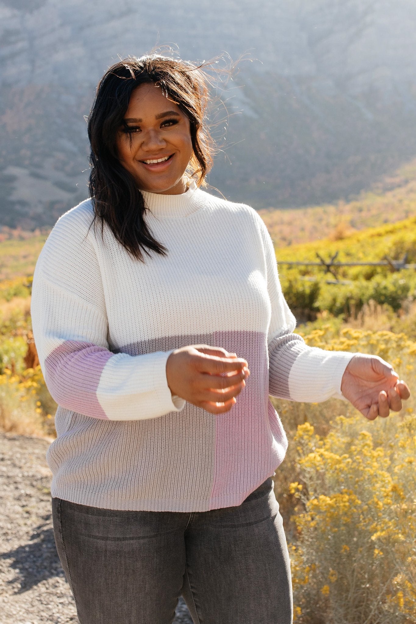 DOORBUSTER Color Block Top in Lavender