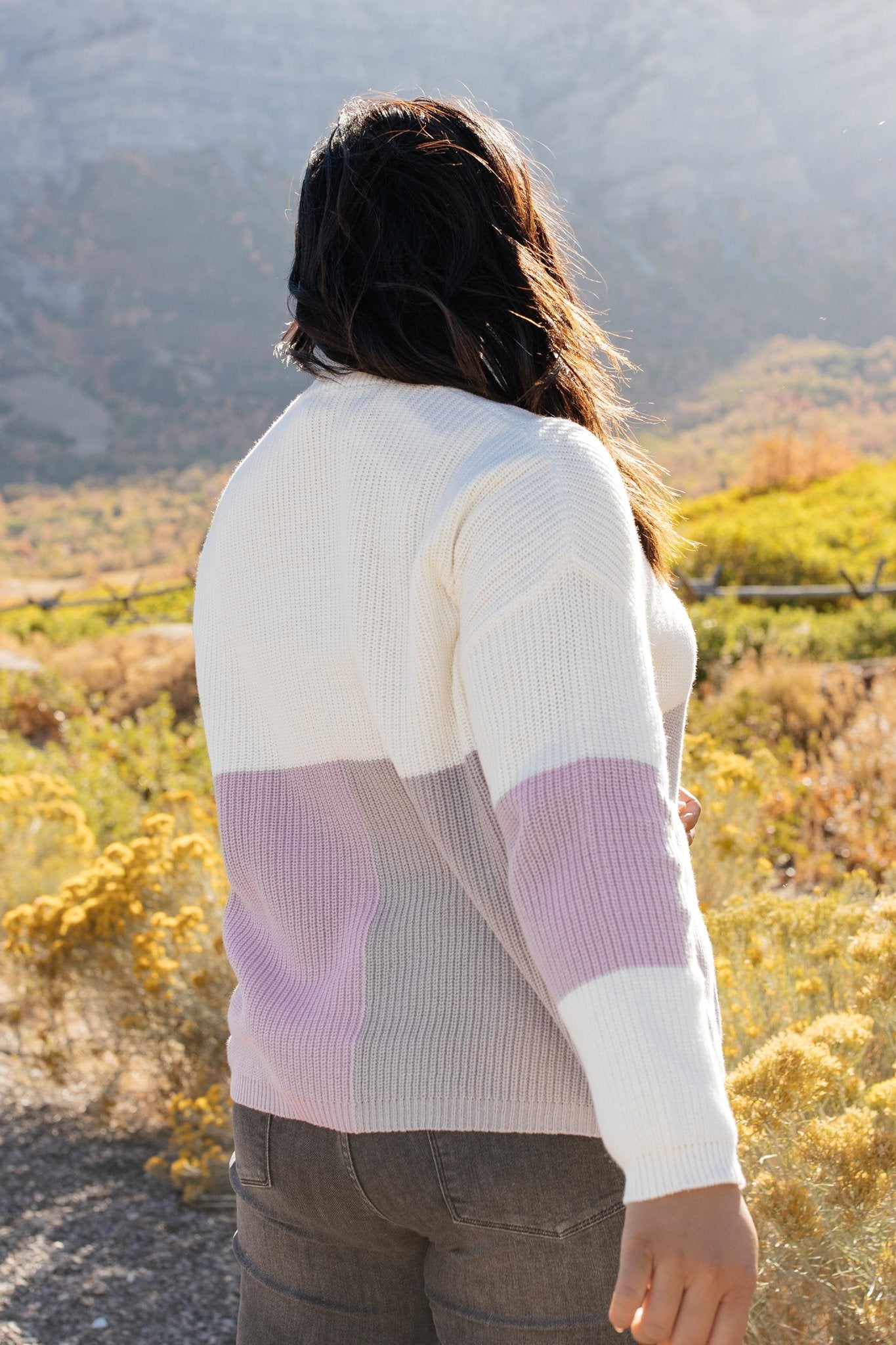 DOORBUSTER Color Block Top in Lavender