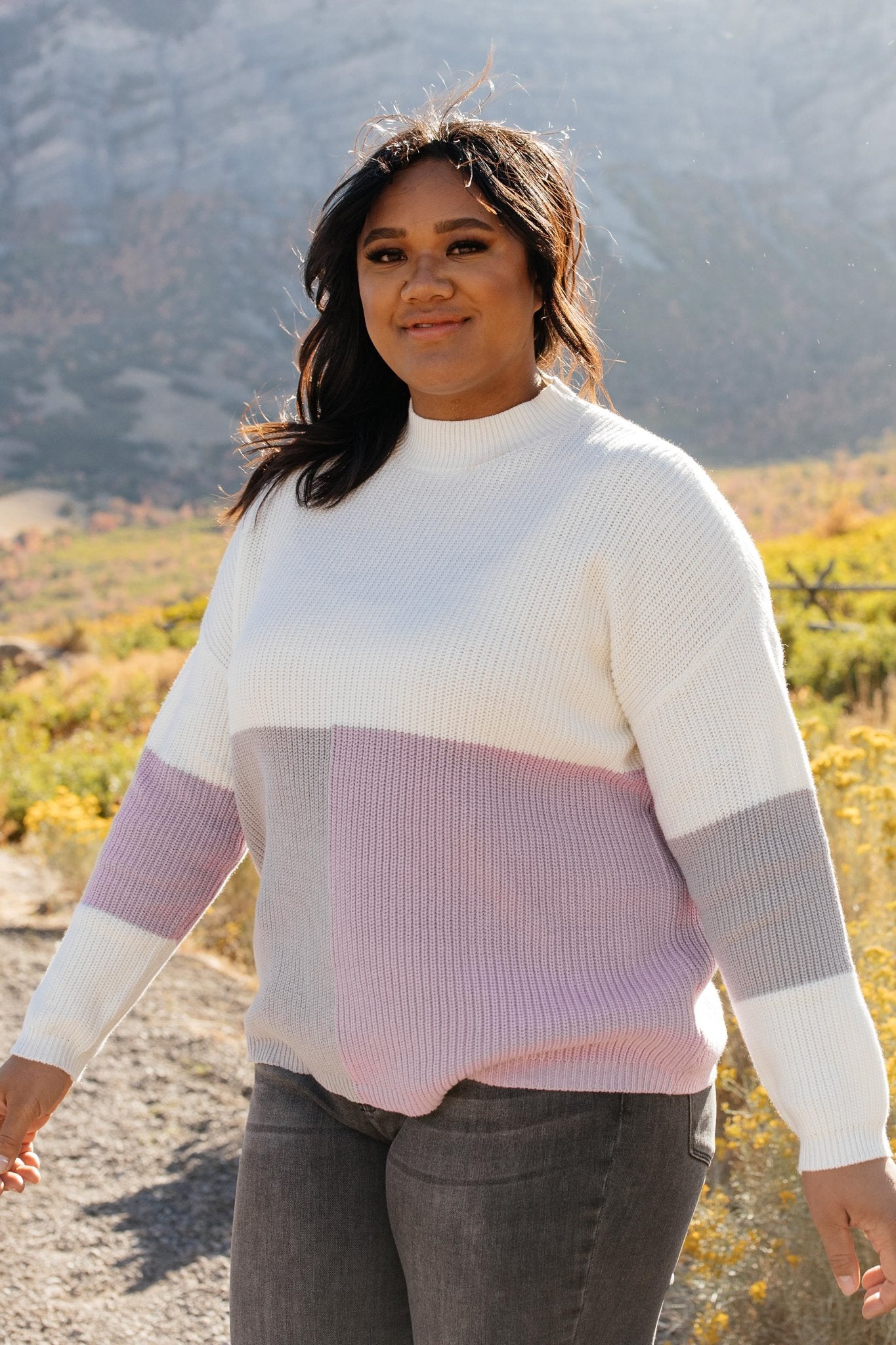 DOORBUSTER Color Block Top in Lavender