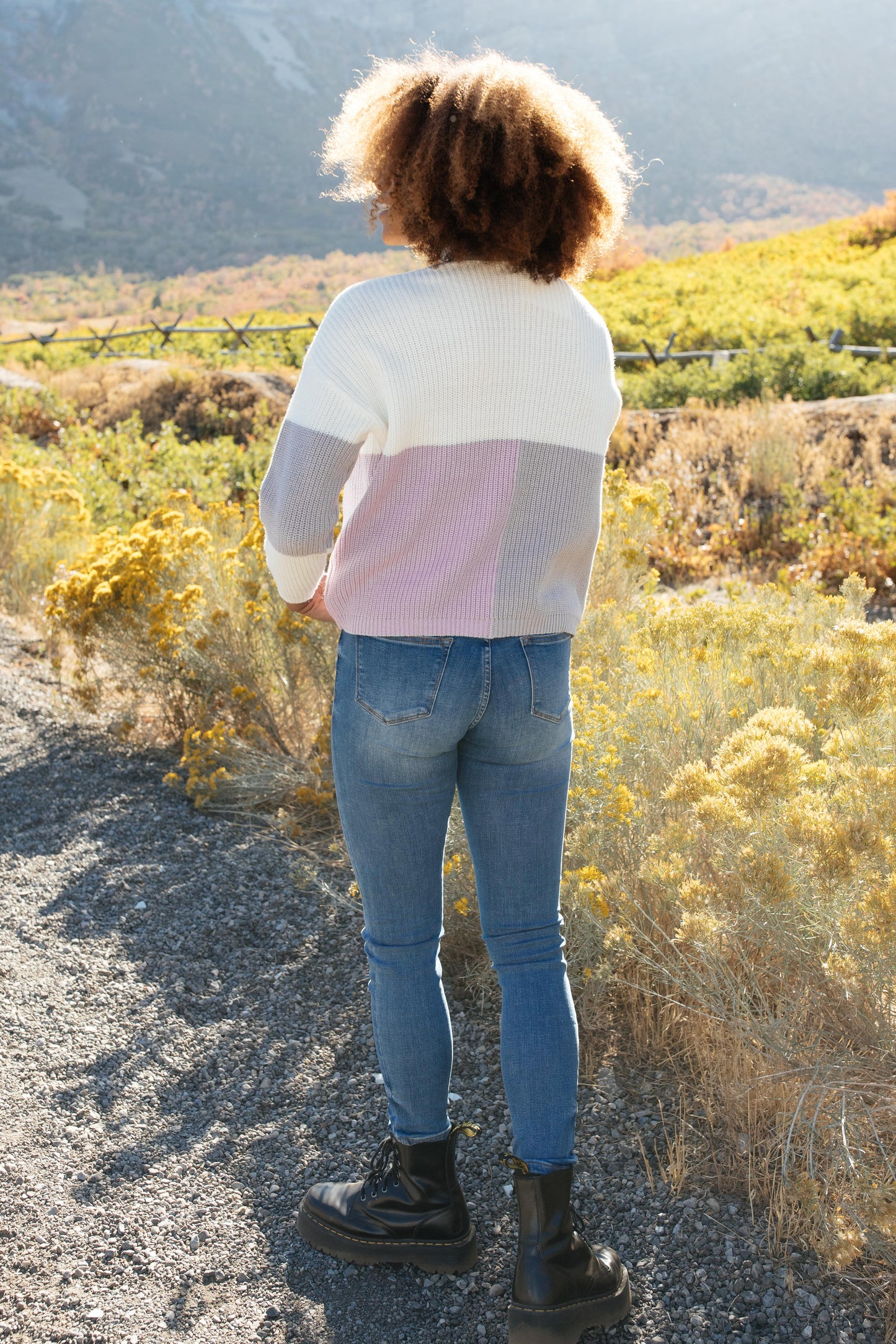 DOORBUSTER Color Block Top in Lavender