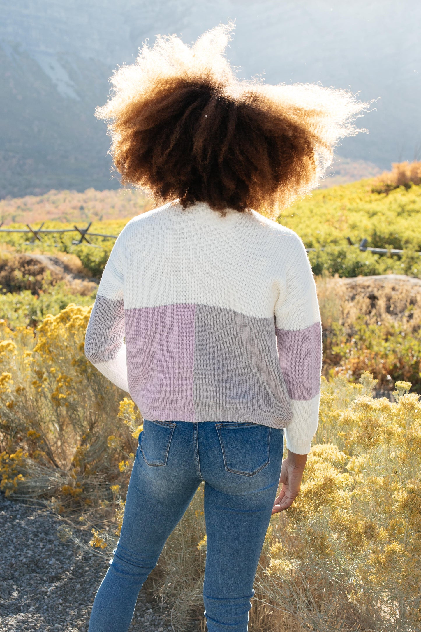 DOORBUSTER Color Block Top in Lavender