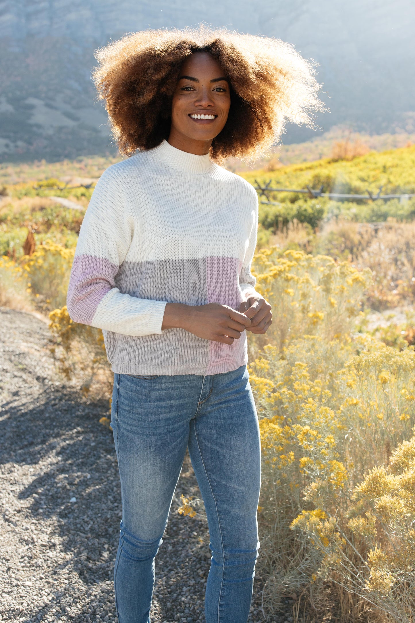 DOORBUSTER Color Block Top in Lavender