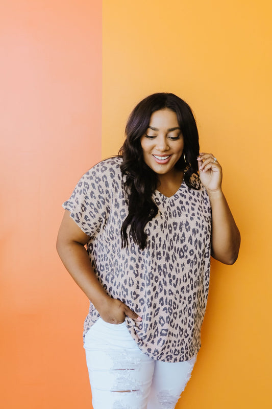 Leap Of Faith V-Neck In Blush