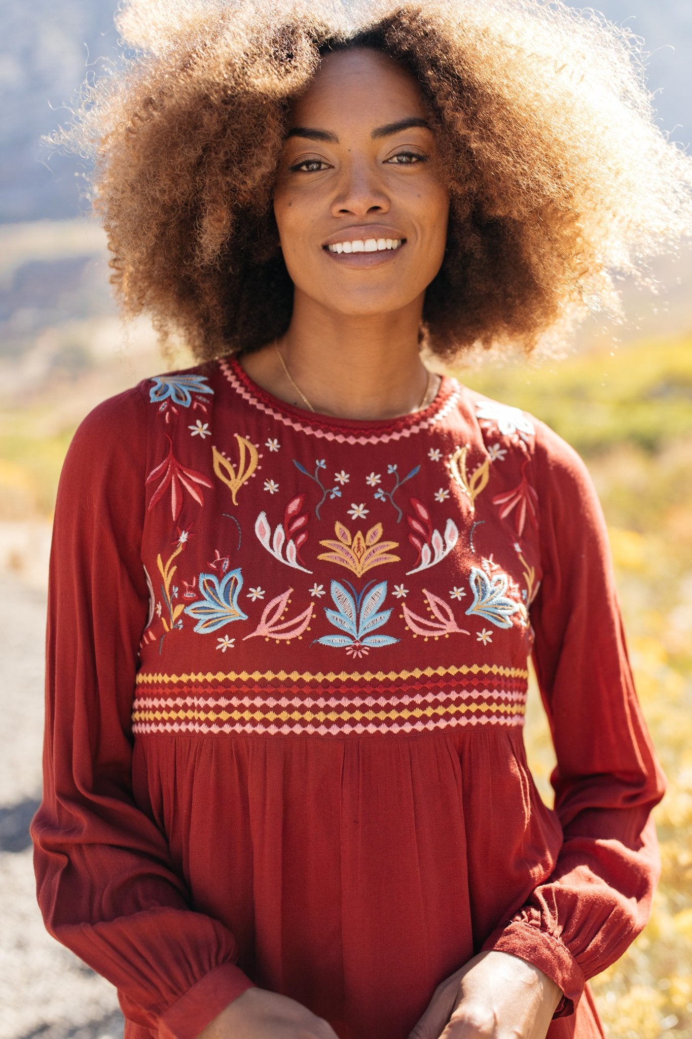 The Fall Embroidery Dress