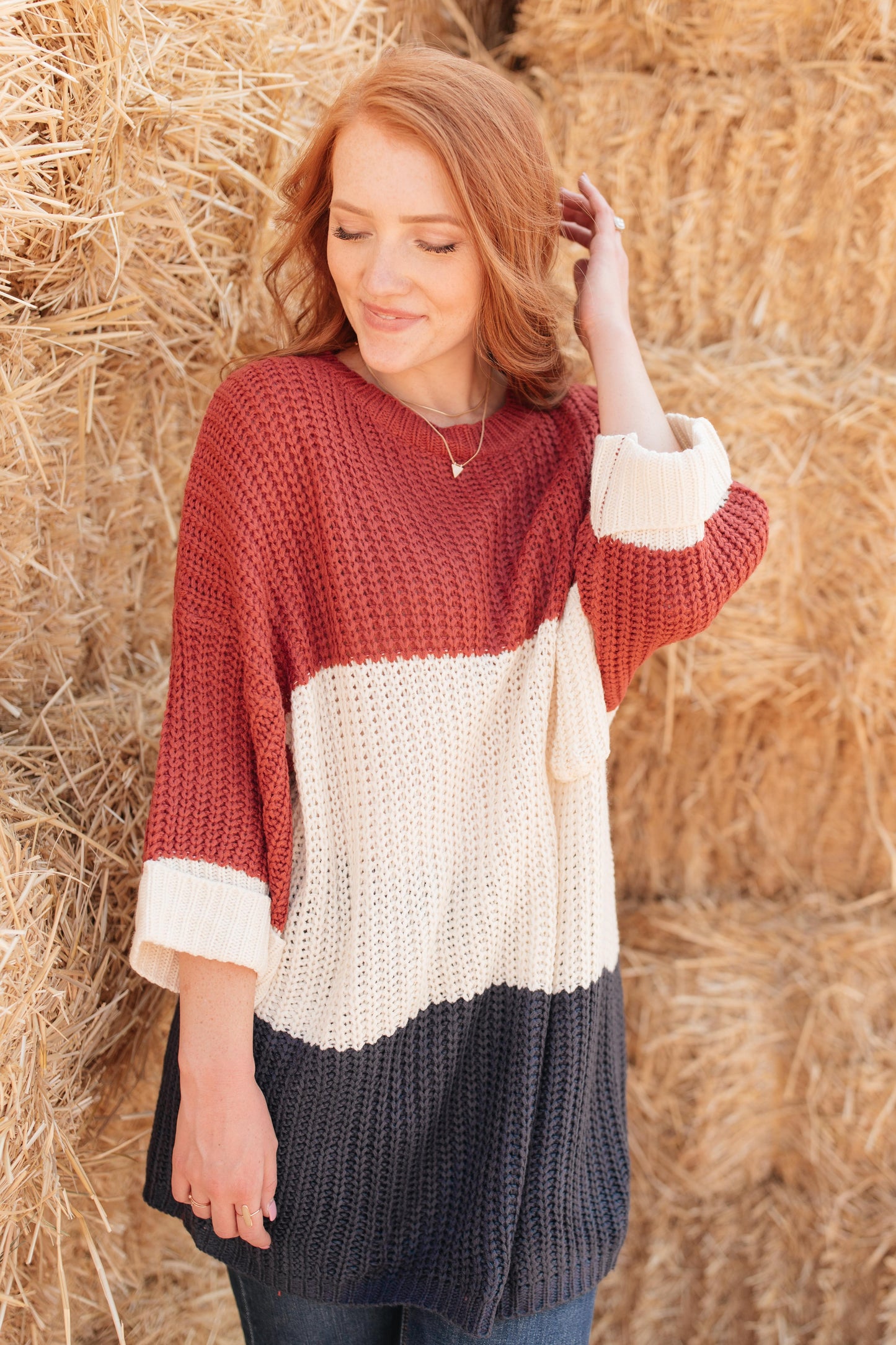 DOORBUSTER Three Times The Color Sweater in Navy Combo
