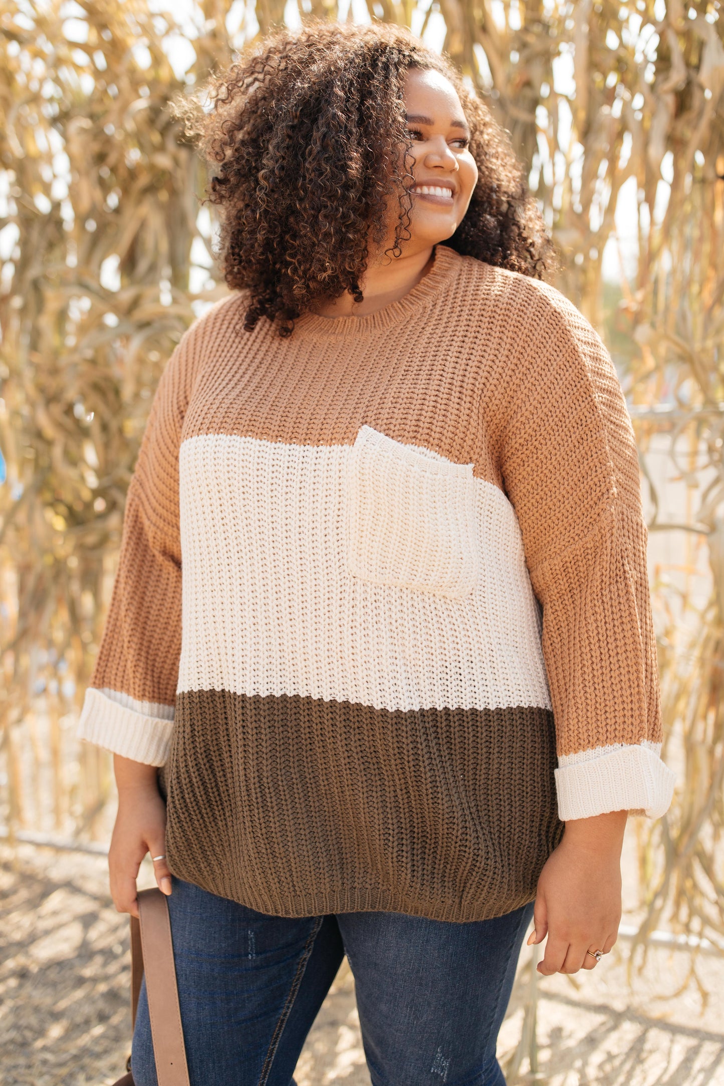 DOORBUSTER Three Times The Color Sweater in Toffee Combo