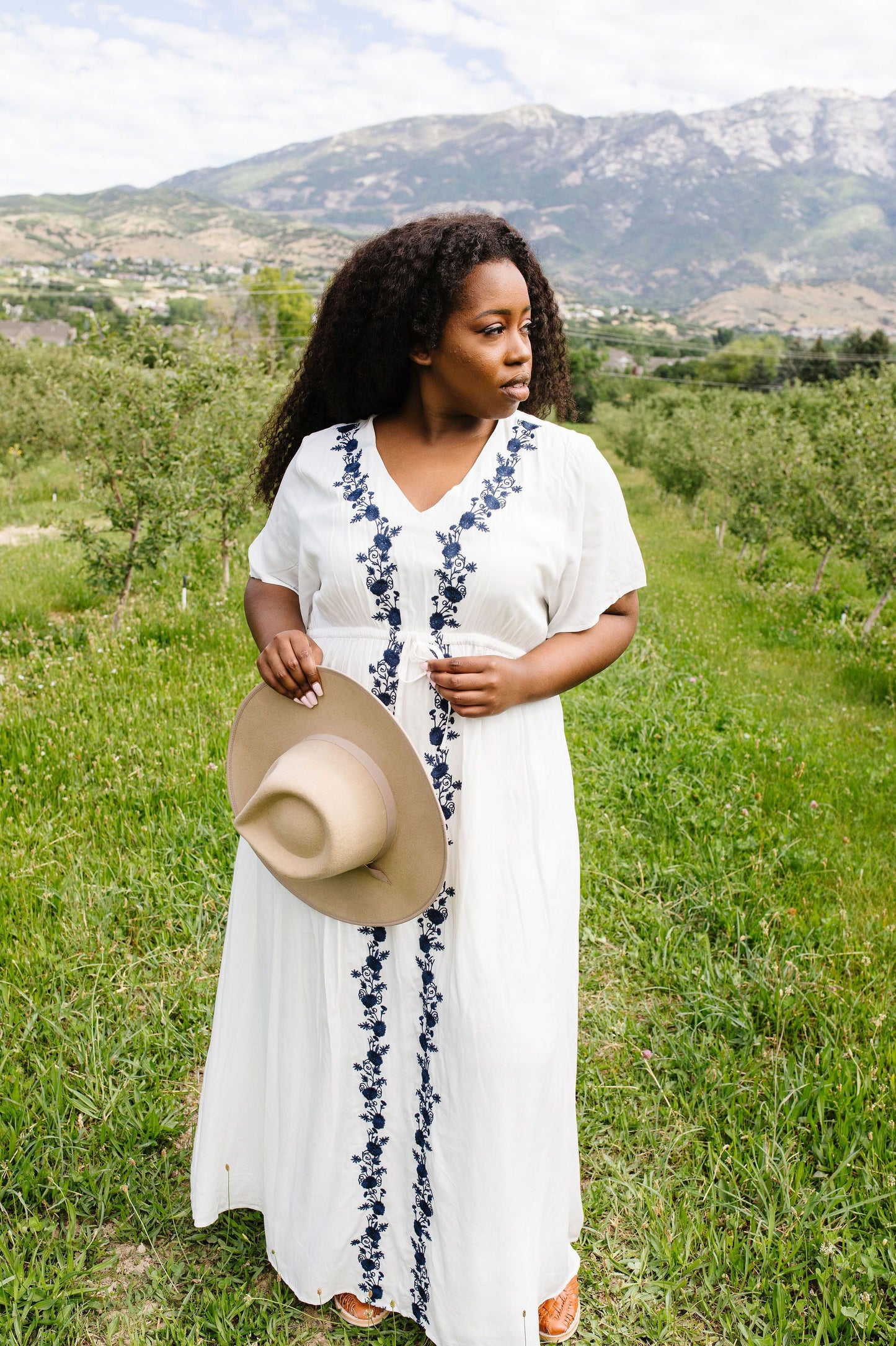 Blue Roses Embroidered Dress