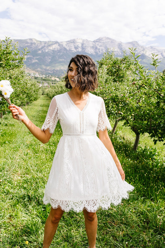 Lace Ecstasy Dress
