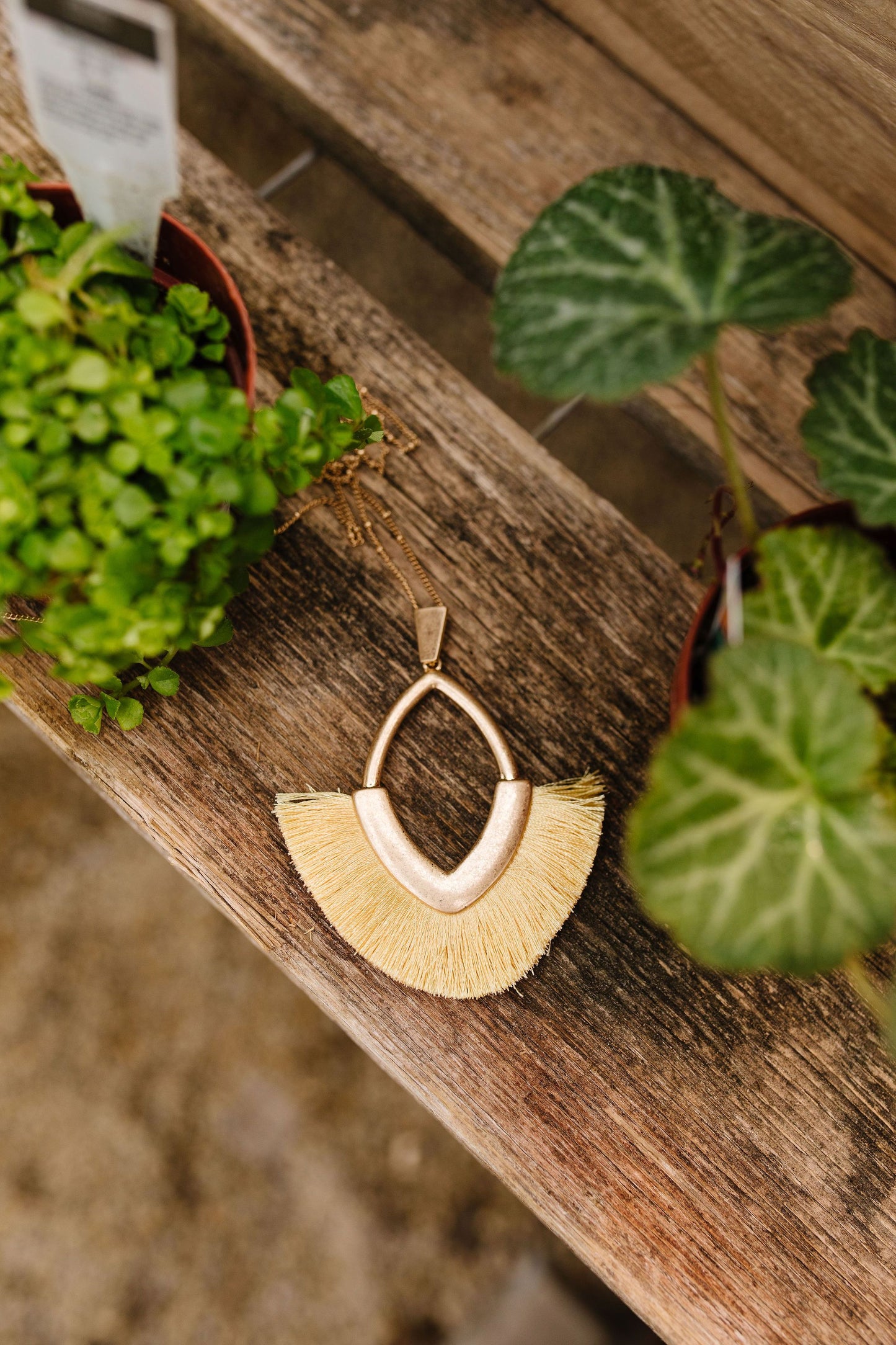 Tasseled V Necklace
