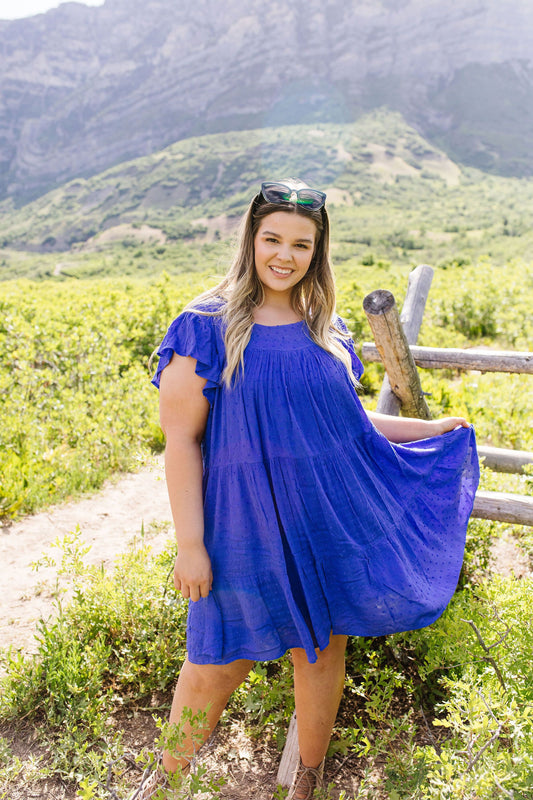 True Blue Swiss Dot Dress
