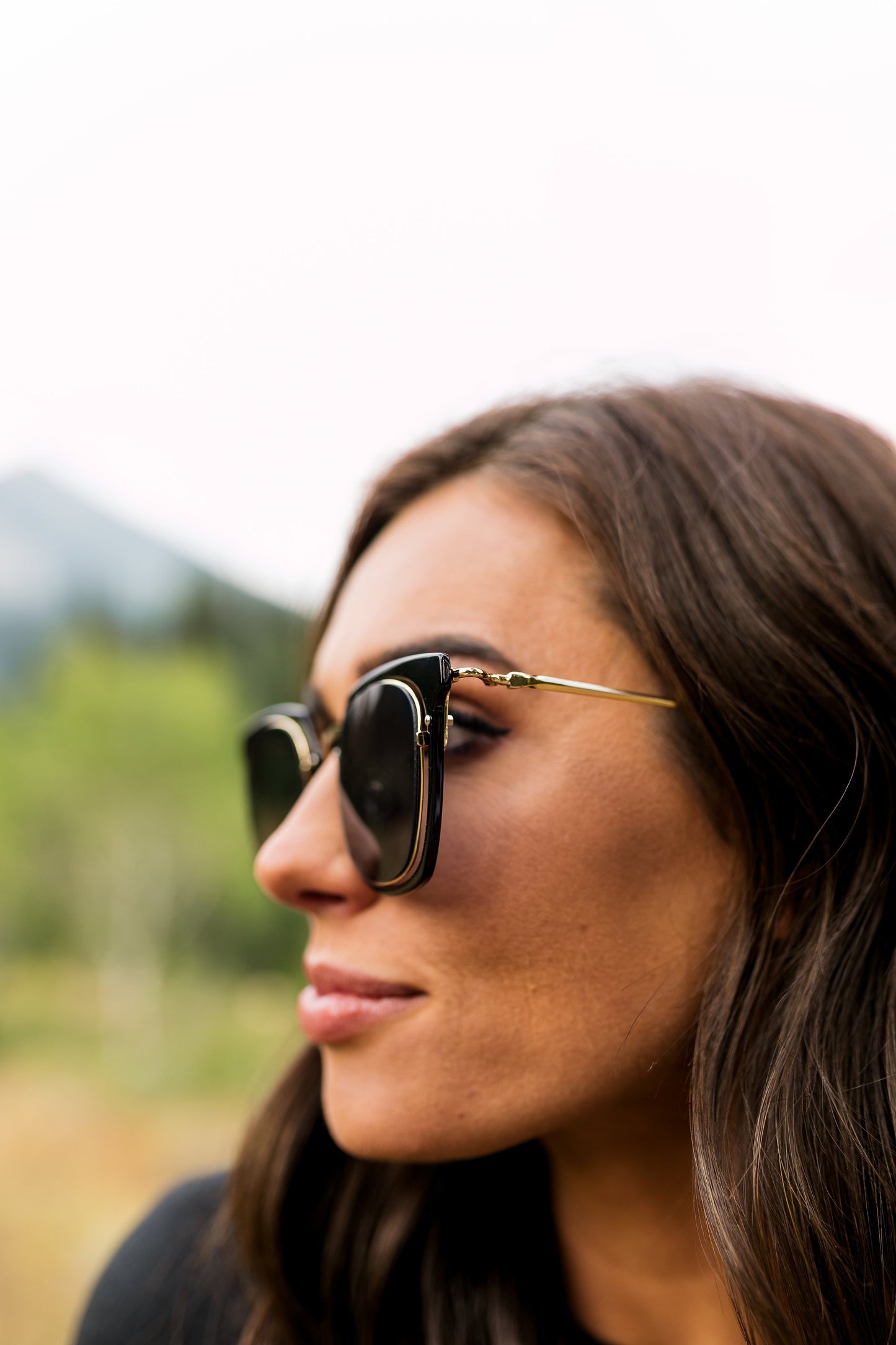 Wayfarer Sunglasses