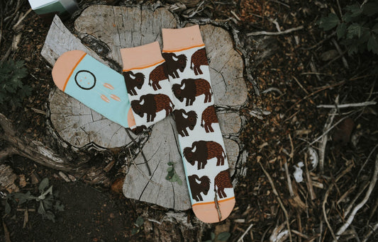 Bison