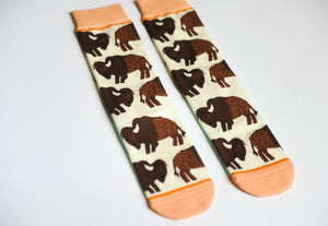 Bison